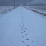 The Silent Exodus of Top Performers  