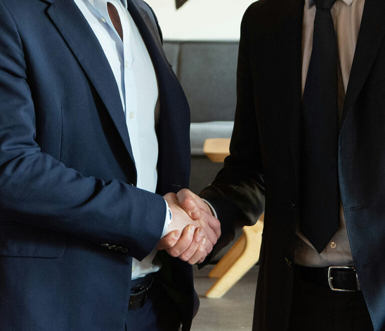 Two professionals shaking hands